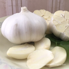 Top Grade Pure White Garlic Price